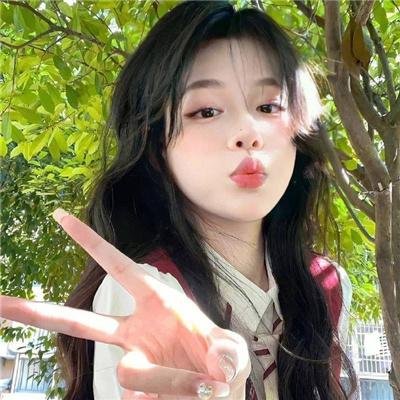 窃劫复仇
